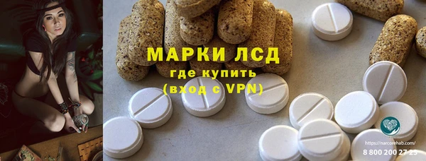 амф Новодвинск
