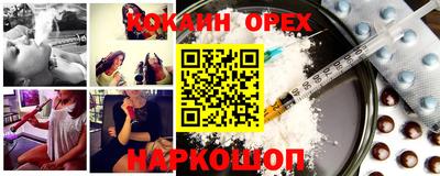 молекула духа Кингисепп