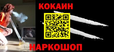 молекула духа Кингисепп
