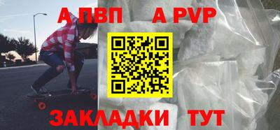 молекула духа Кингисепп