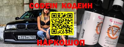 молекула духа Кингисепп