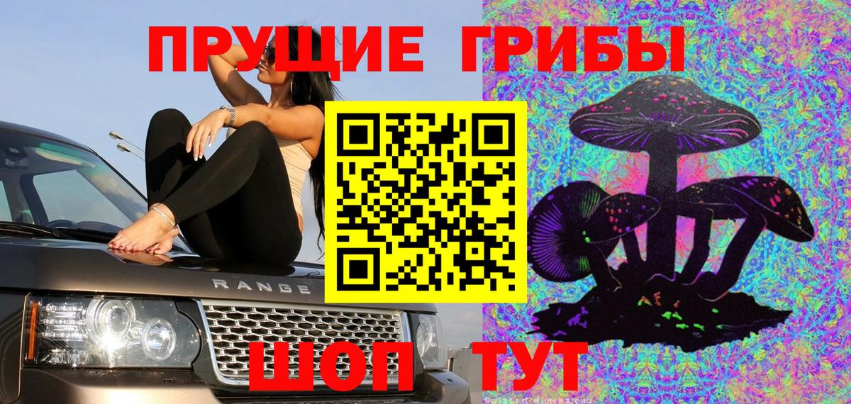 Псилоцибиновые грибы GOLDEN TEACHER  Вход с VPN  Ялуторовск  Псилоцибиновые грибы мухоморы 