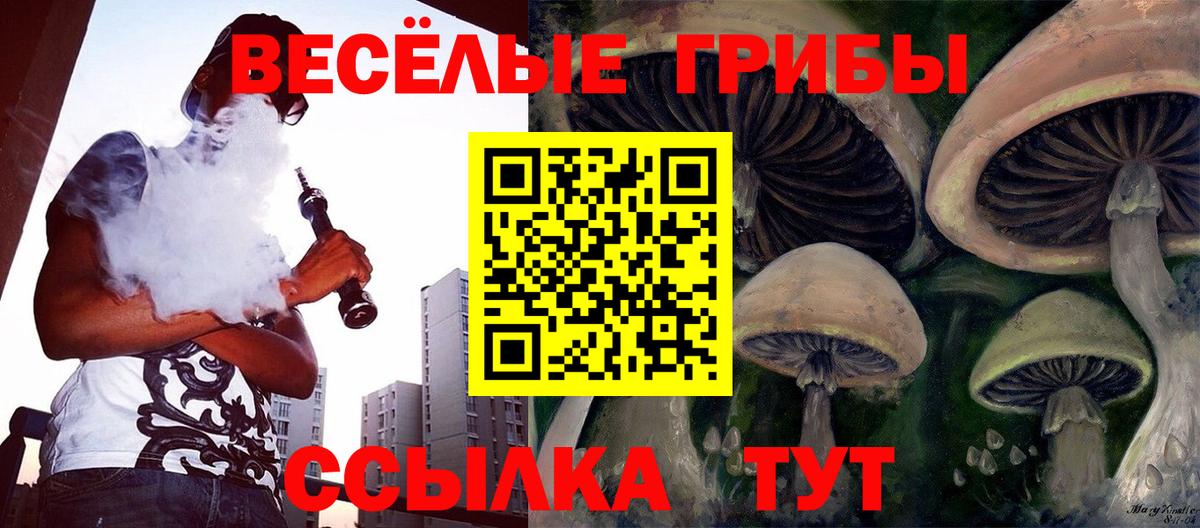 Галлюциногенные грибы мухоморы Ялуторовск