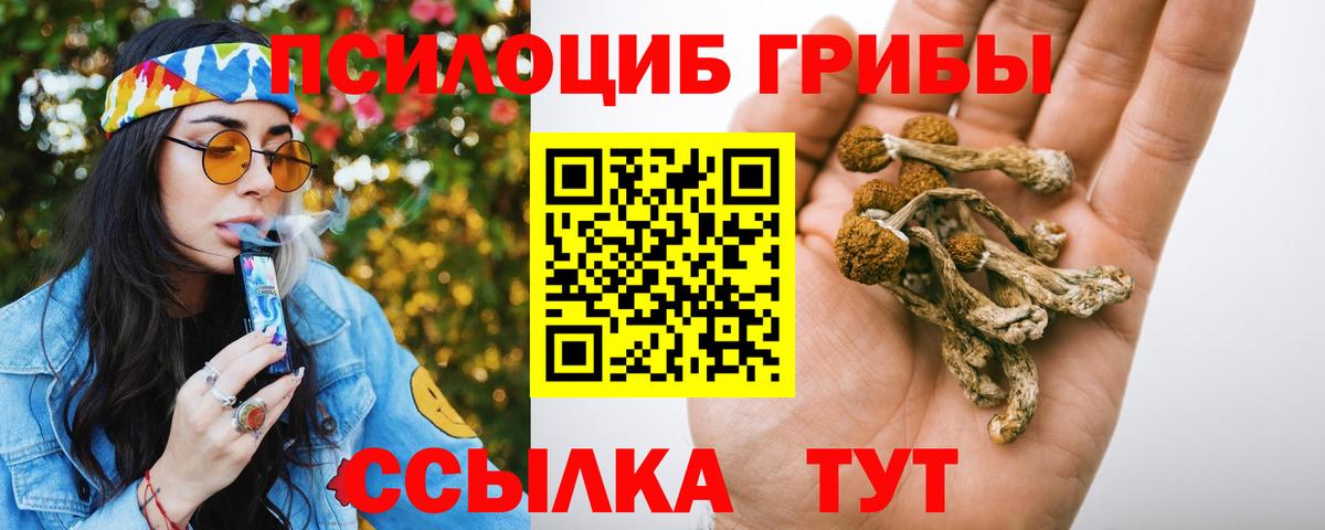 наркотики  Ялуторовск  Псилоцибиновые грибы ЛСД 
